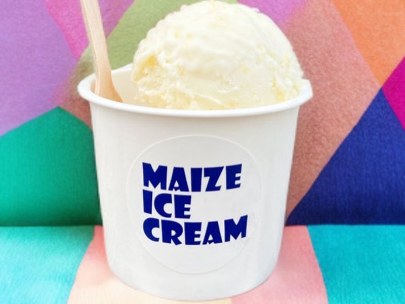 FUN-tastic CAMP 2026｜フード＆ドリンク｜果物や野菜のペーストが練りこんだ 「MAIZE ICE CREAM」