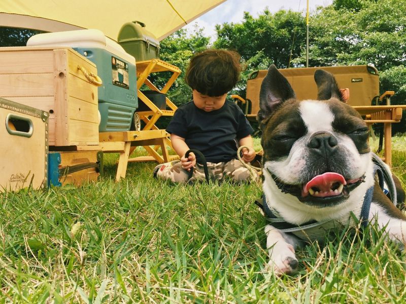 JALカード × PICA 愛犬と楽しむキャンププラン｜ドッグラン付きのコテージで、愛犬と一緒にのびのび過ごす休日。 自然の中で愛犬と過ごす時間をお楽しみください。