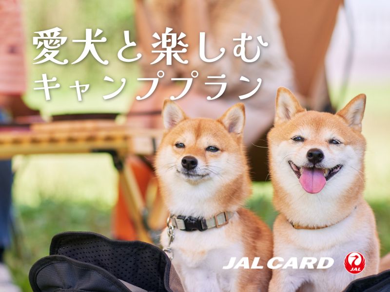 JALカード × PICA 愛犬と楽しむキャンププラン｜ドッグラン付きのコテージで、愛犬と一緒にのびのび過ごす休日。 自然の中で愛犬と過ごす時間をお楽しみください。