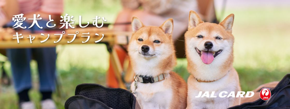 PICA山中湖｜JALカード× PICA 愛犬と楽しむキャンププラン｜ドッグラン付きのコテージで、愛犬と一緒にのびのび過ごす休日。 自然の中で愛犬と過ごす時間をお楽しみください。